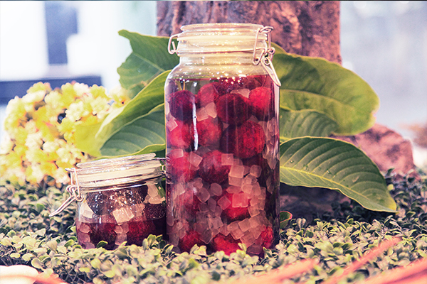 004kL8lBgy6JKtKYWLfb9 004kL8lBgy6JKtKYWLfb9